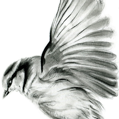 picture name