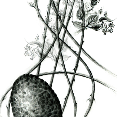 picture name
